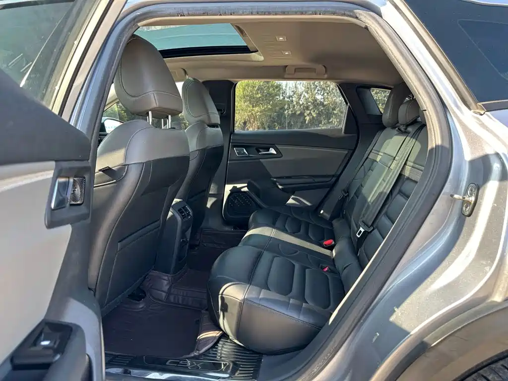 Citroën Versailles C5 X 2022 2022 1.6T Enjoy Extraordinary Tiger Year Opening Edition