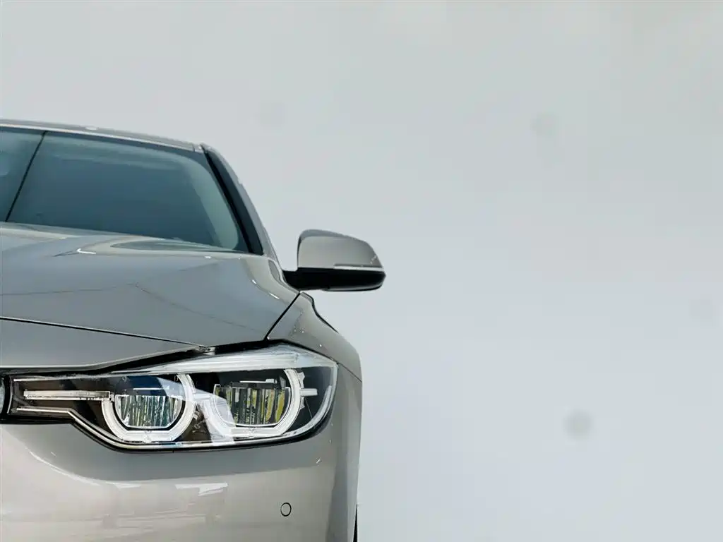 BMW 3 Series 2019 320Li Fashion Type фото 10