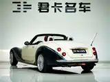 Фото 4 - Mitsuoka Queen