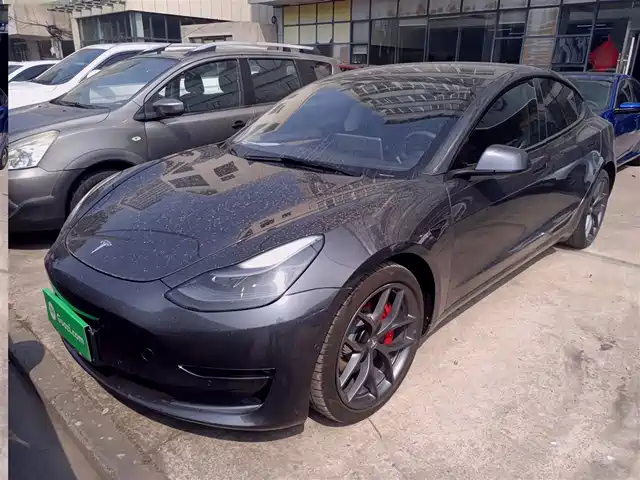 Tesla Model 3 2021 Performance High-Performance All-Wheel Drive