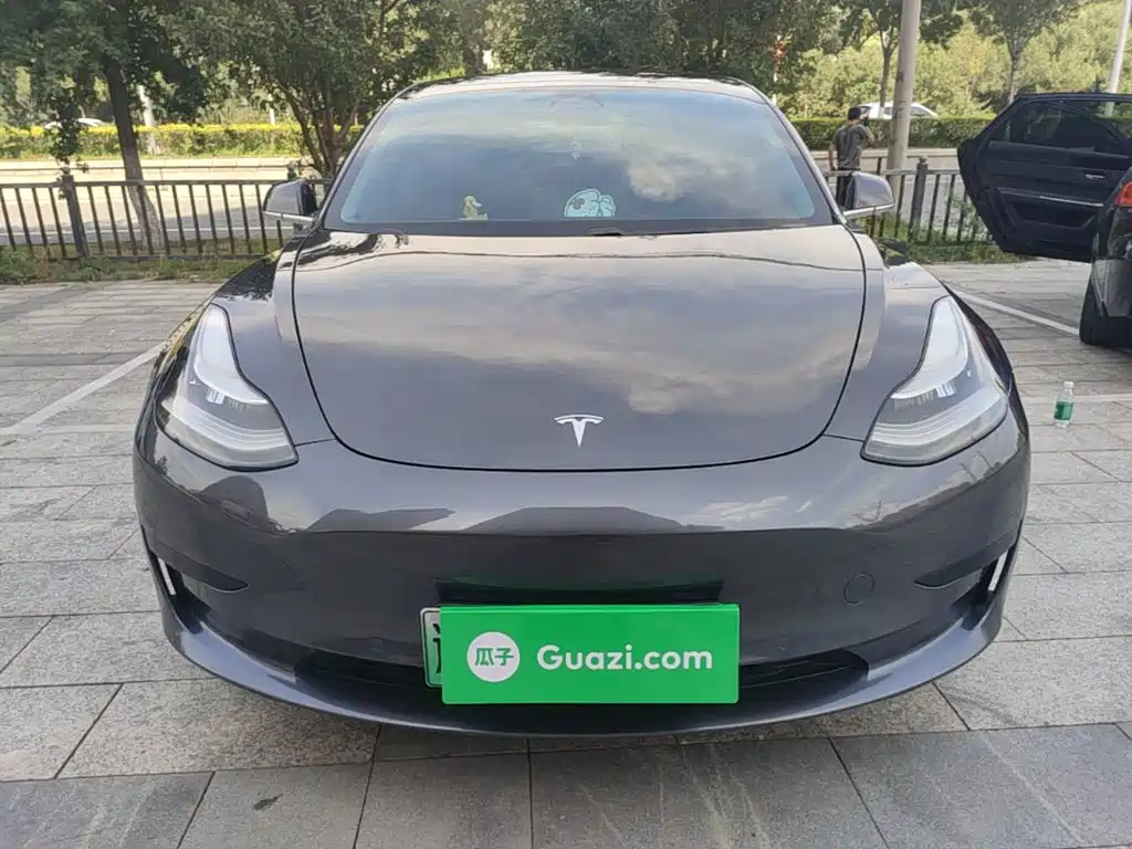Tesla Model 3 2020 2020 Standard Range Rear-Wheel Drive Upgrade