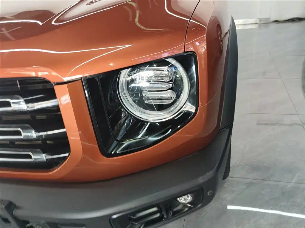 Haval Big Dog 2021 1.5T DCT 2WD Border Collie - Wangcai Edition фото 18