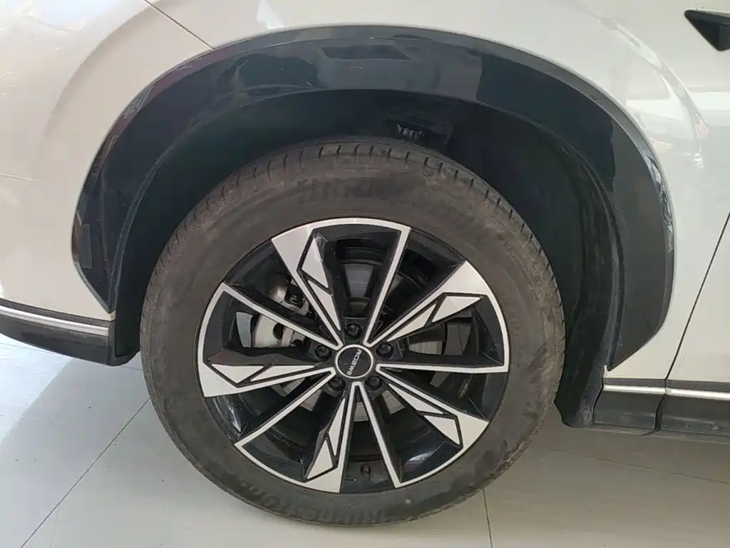 Фото 23 - Roewe RX5 New Energy