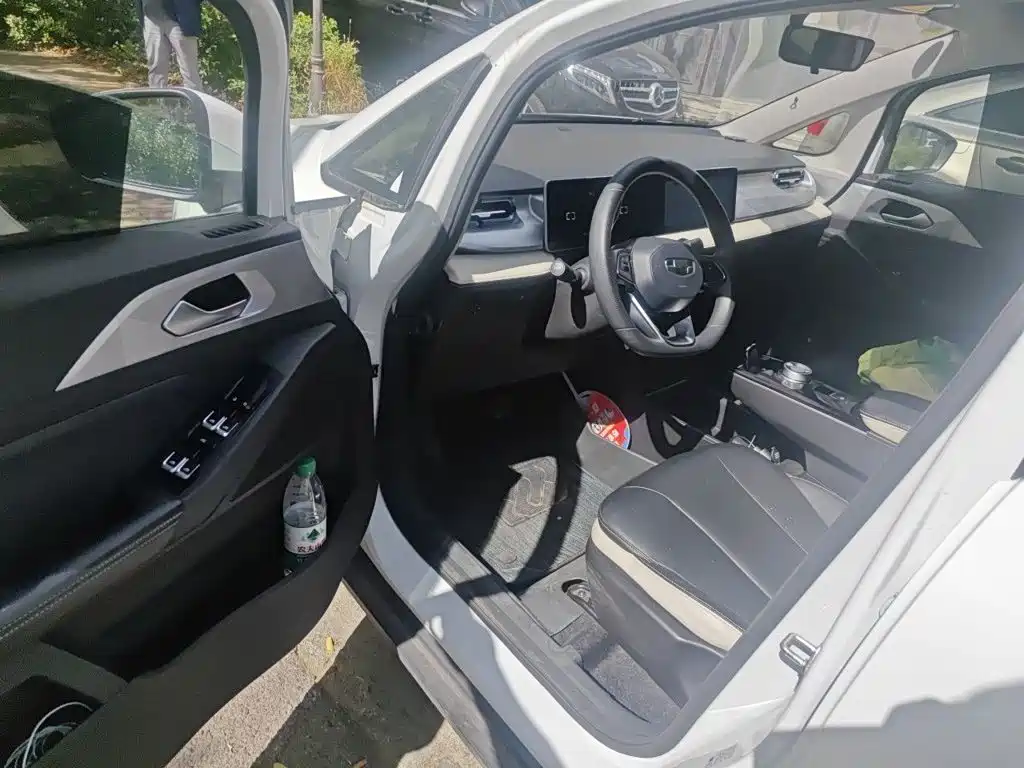 Geely Geometry E Firefly 2023 2023 320KM Cute Tiger 5-seater