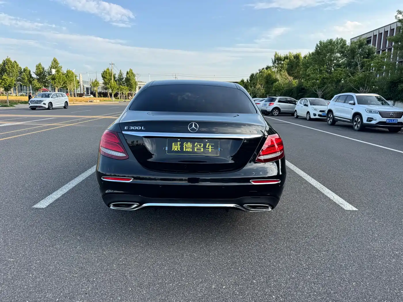 Mercedes-Benz E-Class 2016 E 300 L Fashion Type фото 6