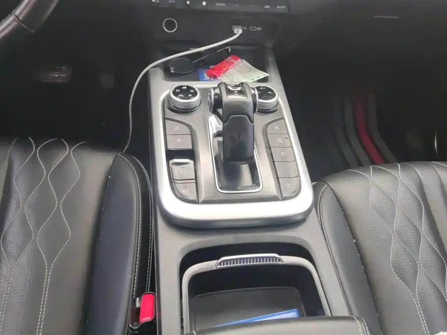 Tank 300 2024 Model 2.0T Challenger фото 16