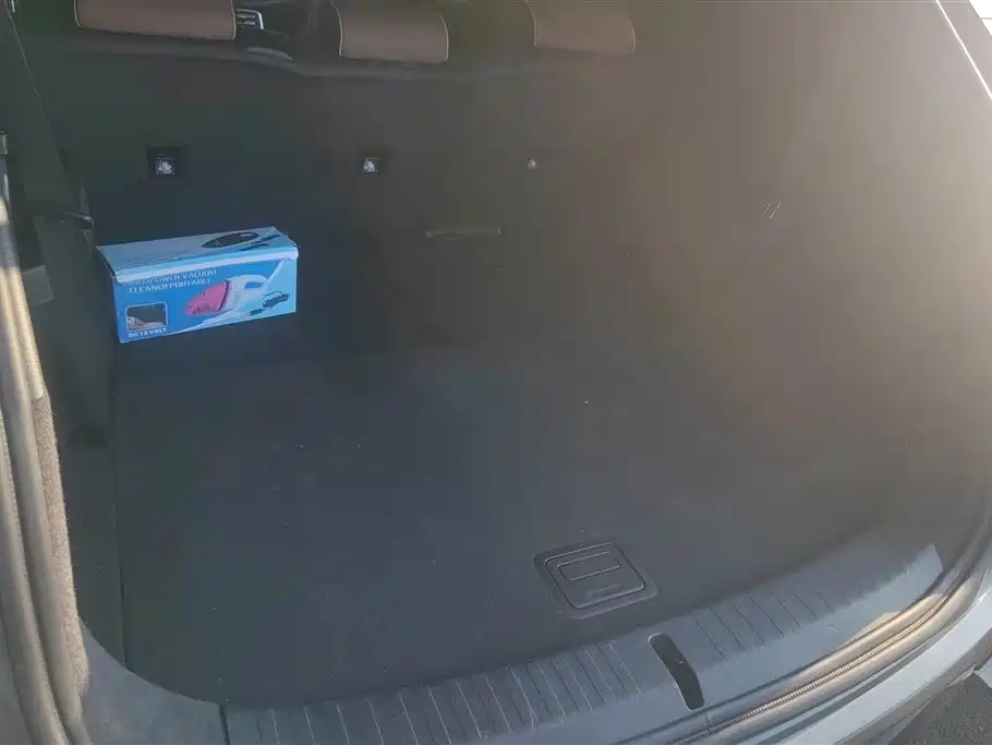 BYD Tang New Energy 2021 DM-i 112KM Honor фото 4