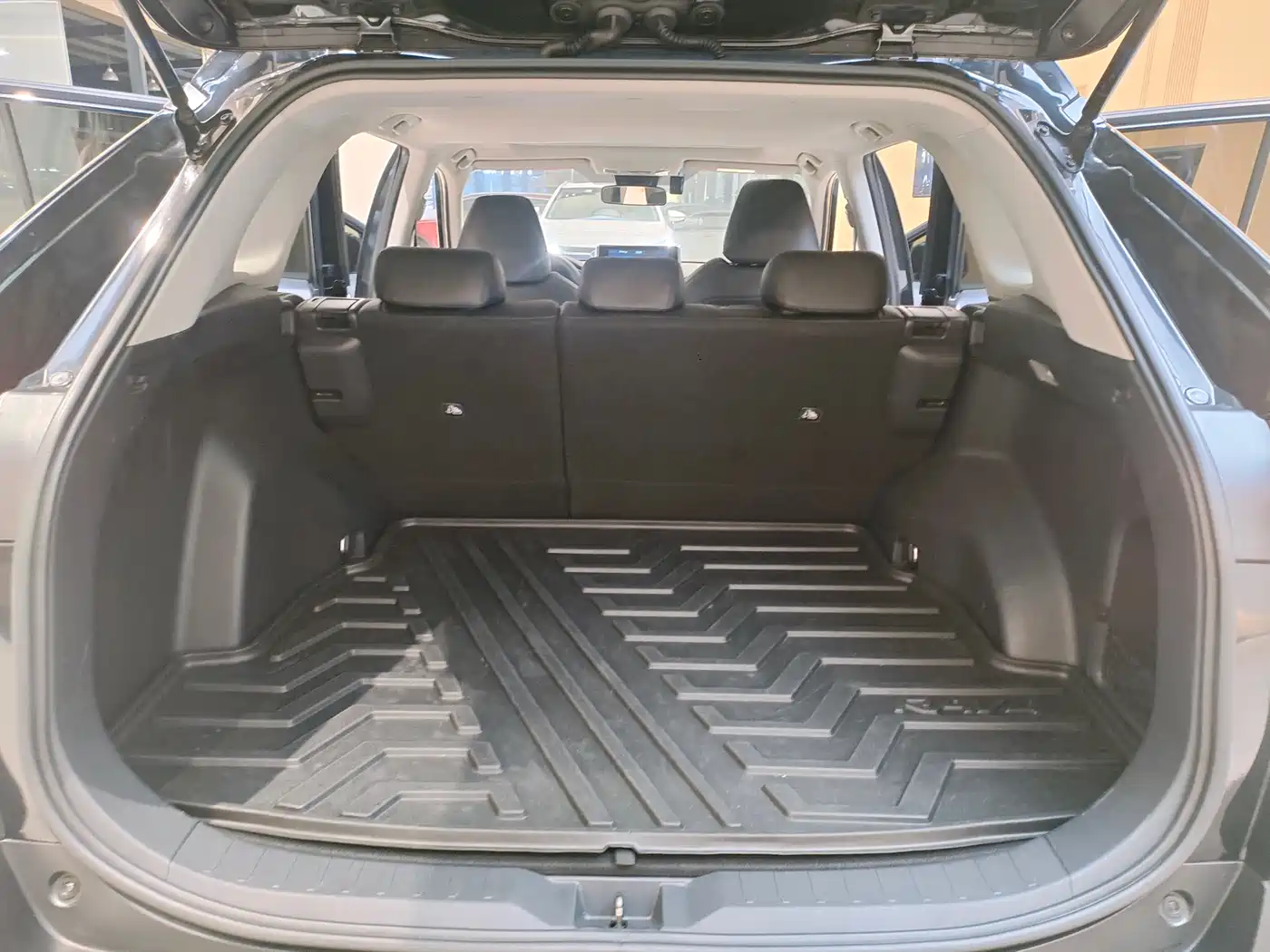 Toyota RAV4 Rongfang 2021 2.0L CVT 2WD Trend фото 13