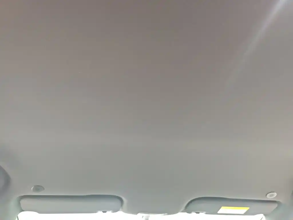BYD Dolphin 2026 2025 420km Freedom Edition