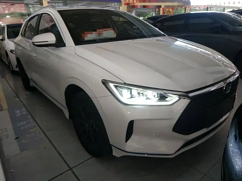 BYD e2 2021 2021 Luxury Edition