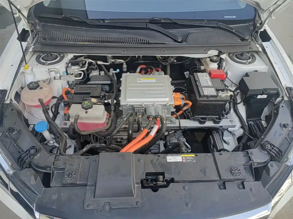 BYD e2 2020 Upgraded Long Range Luxury фото 20