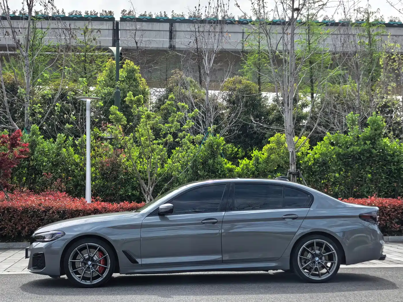 BMW 5 Series 2019 530Li Leading Luxury Package фото 7