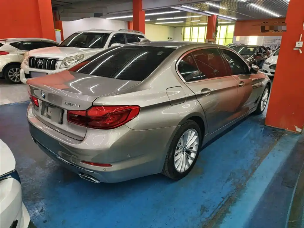 BMW 5 Series 2020 525Li Luxury Package фото 24