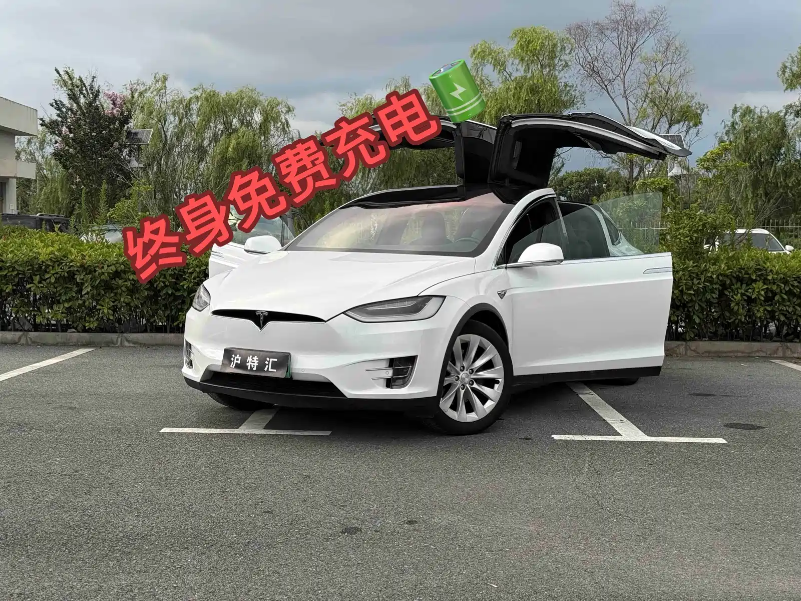 Фото 1 - Tesla Model X