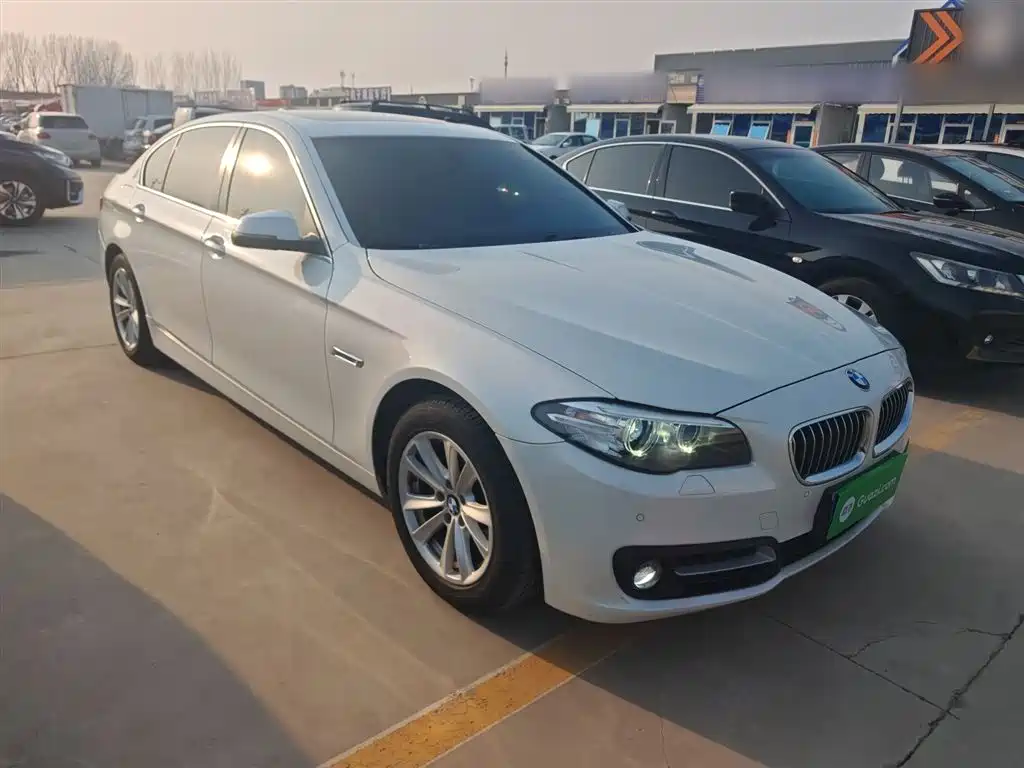 BMW 5 Series 2014 520Li Elegance фото 4