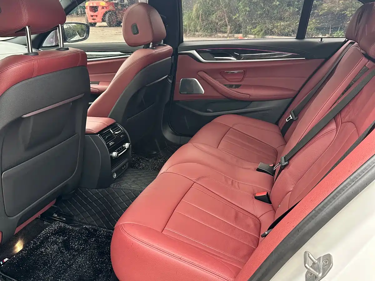 BMW 5 Series 2020 530Li Exclusive M Sport Package фото 5