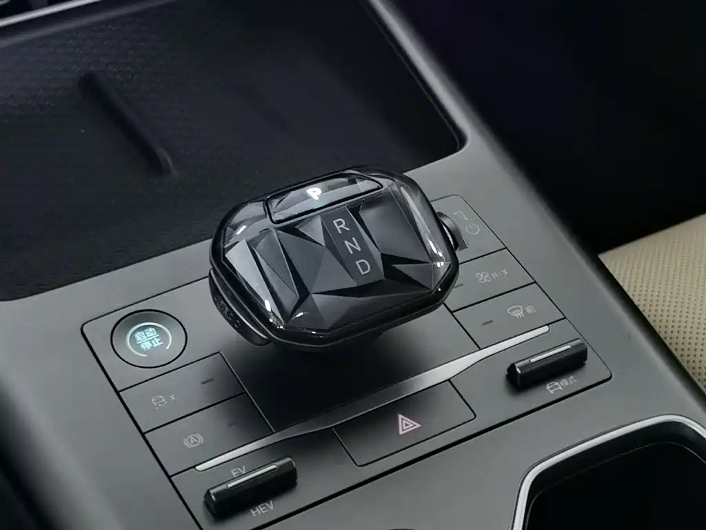 BYD SONGJIANG NEW ENERGY
