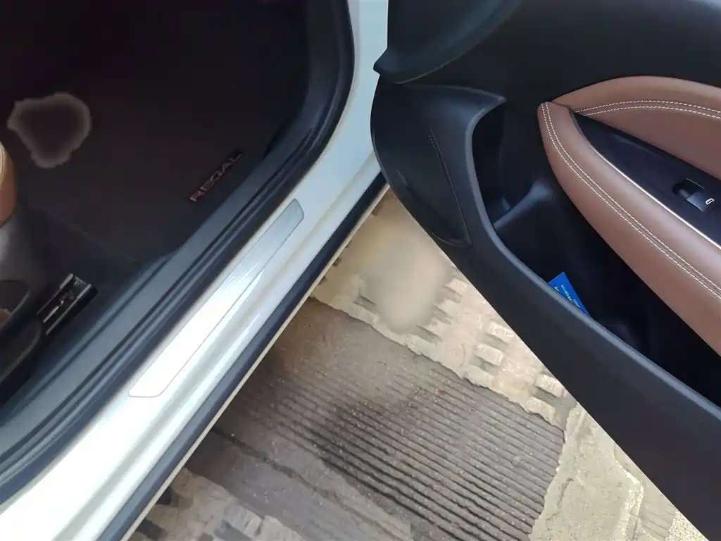 Buick Regal 2020 552T Luxury фото 20
