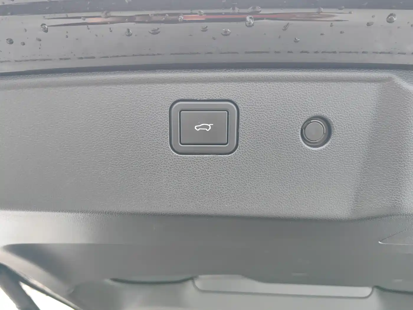 Haval Big Dog 2024 1.5T DCT Border Collie Edition фото 15