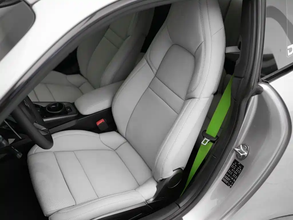 صورة 19 - Porsche 911