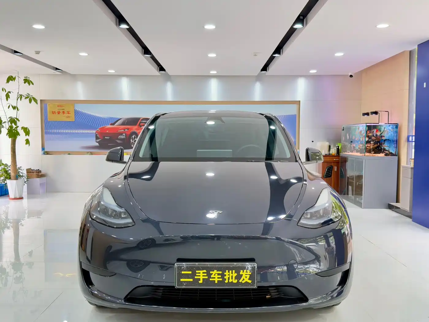TESLA MODEL Y
