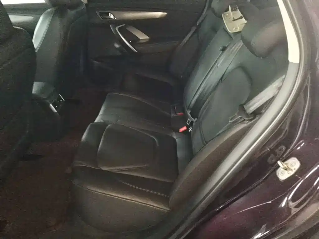 DS 5LS 2016 2016 1.6T Elegant Edition THP160