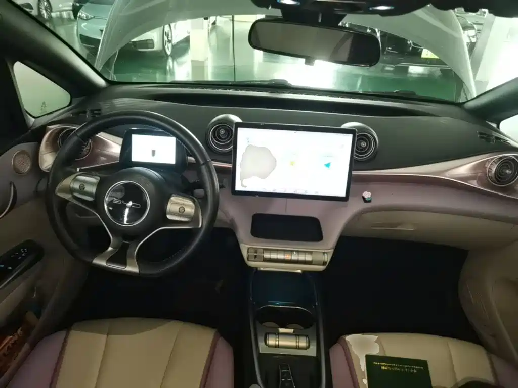 BYD Dolphin 2021 2021 Model 405km Fashion Edition