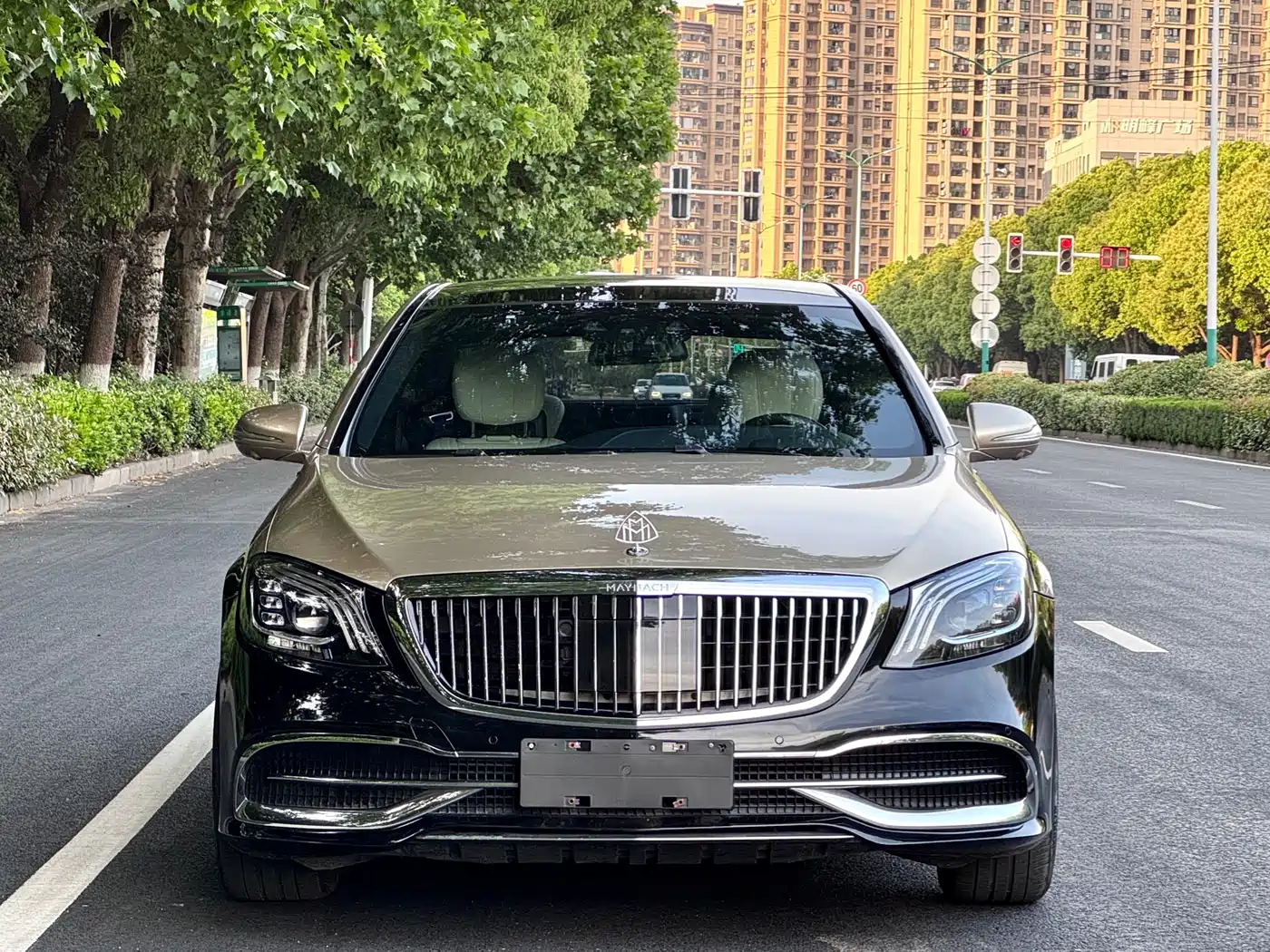 Mercedes-Benz S-Class 2014 S 500 L 4MATIC фото 2