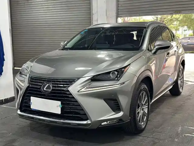  Lexus Lexus NX 2020 200 AWD F Sport China VI
