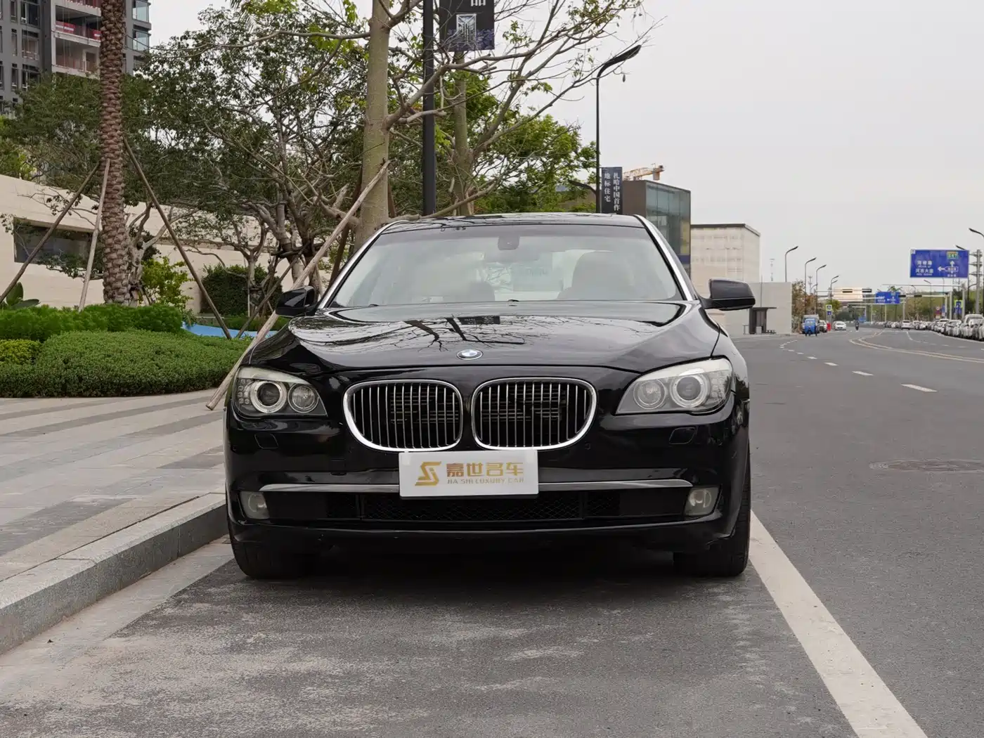BMW 7 Series 2009 730Li Luxury фото 2