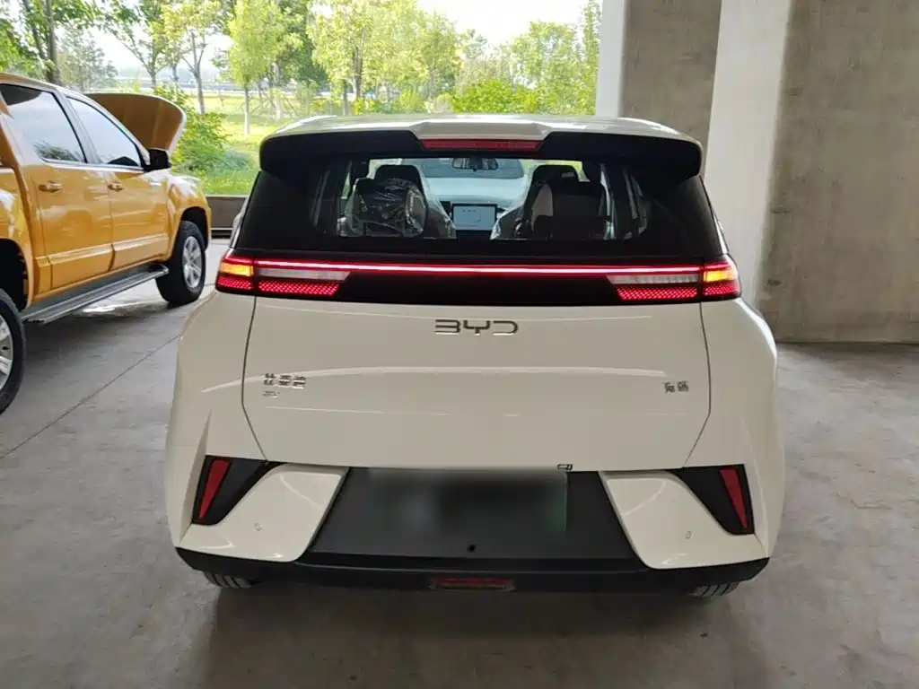 BYD Seagull 2026 2025 Smart Drive Edition 305km Vitality Version