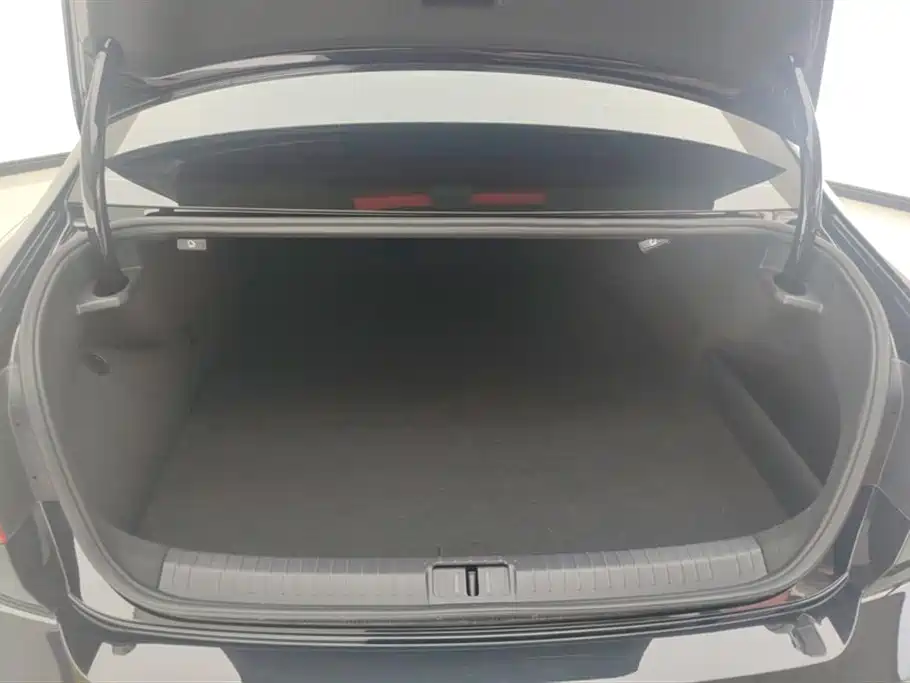 Volkswagen Magotan GTE Plug-in Hybrid 2022 GTE Luxury фото 4