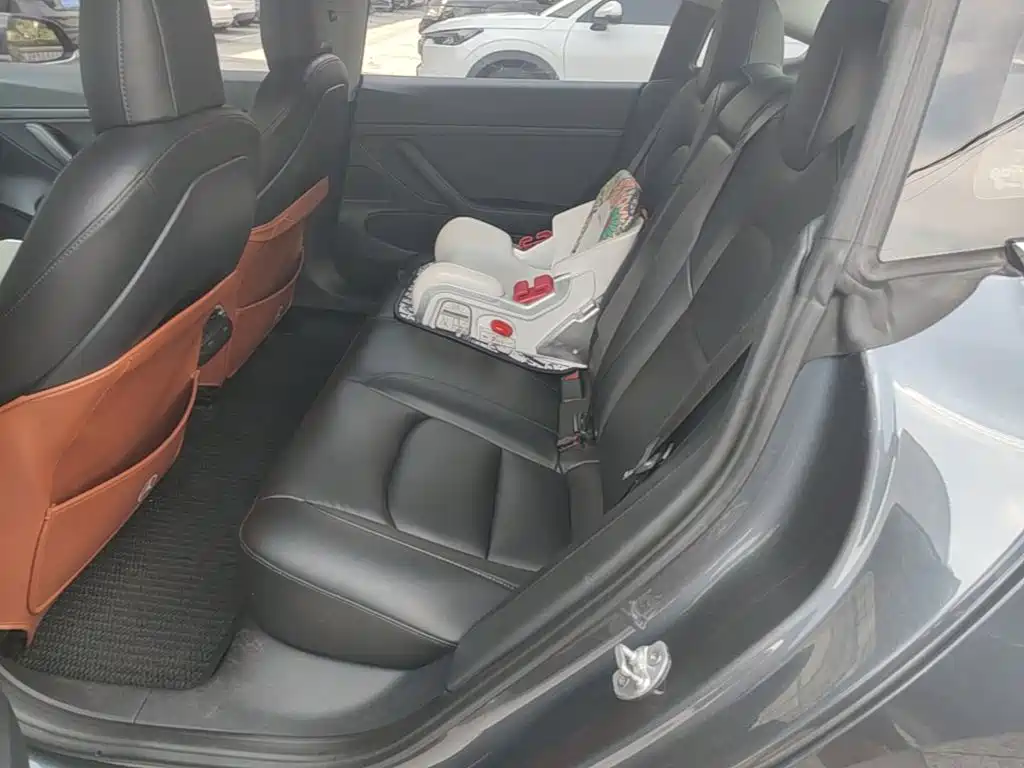 Tesla Model 3 2020 2020 Standard Range Rear-Wheel Drive Upgrade