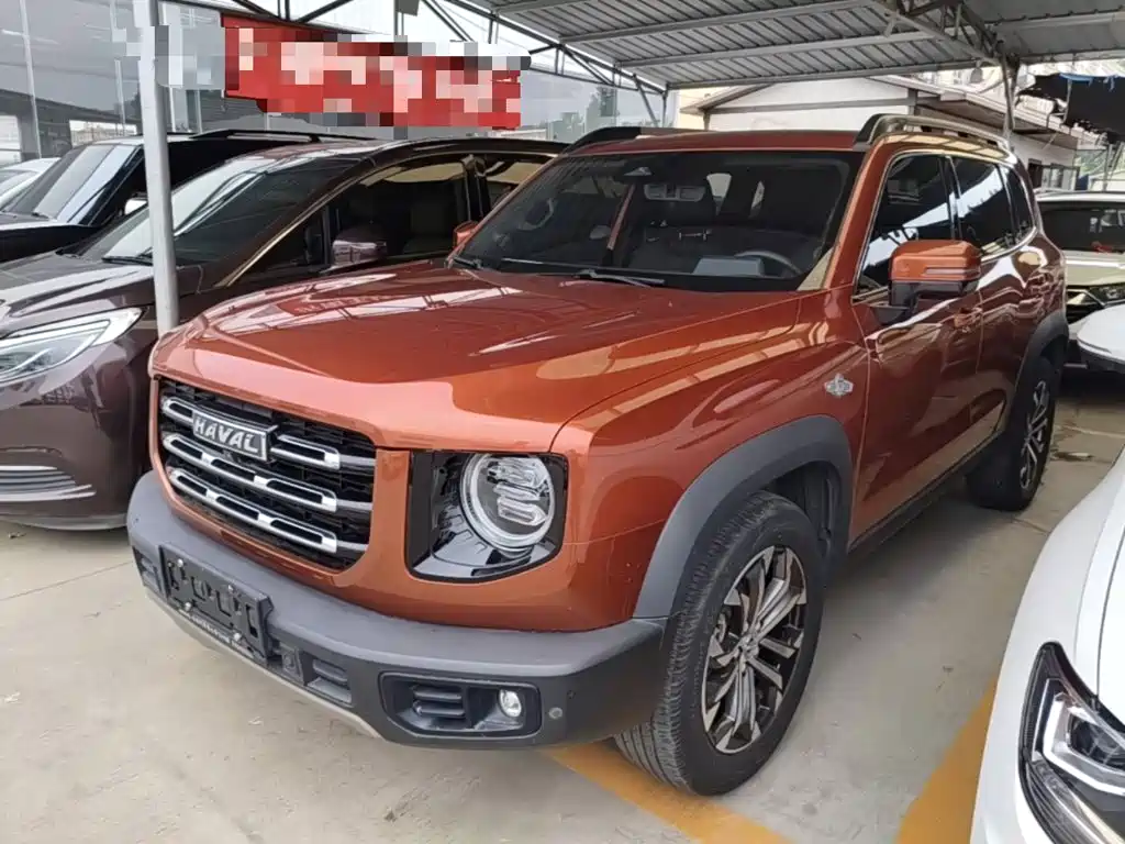 Haval Big Dog 2021 1.5T DCT 2WD Border Collie - Wangcai Edition