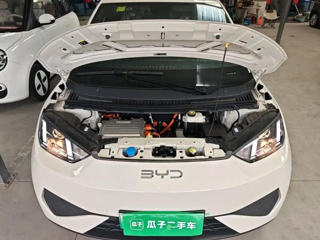 BYD Seagull 2026 2025 Smart Drive Edition 305km Vitality Version