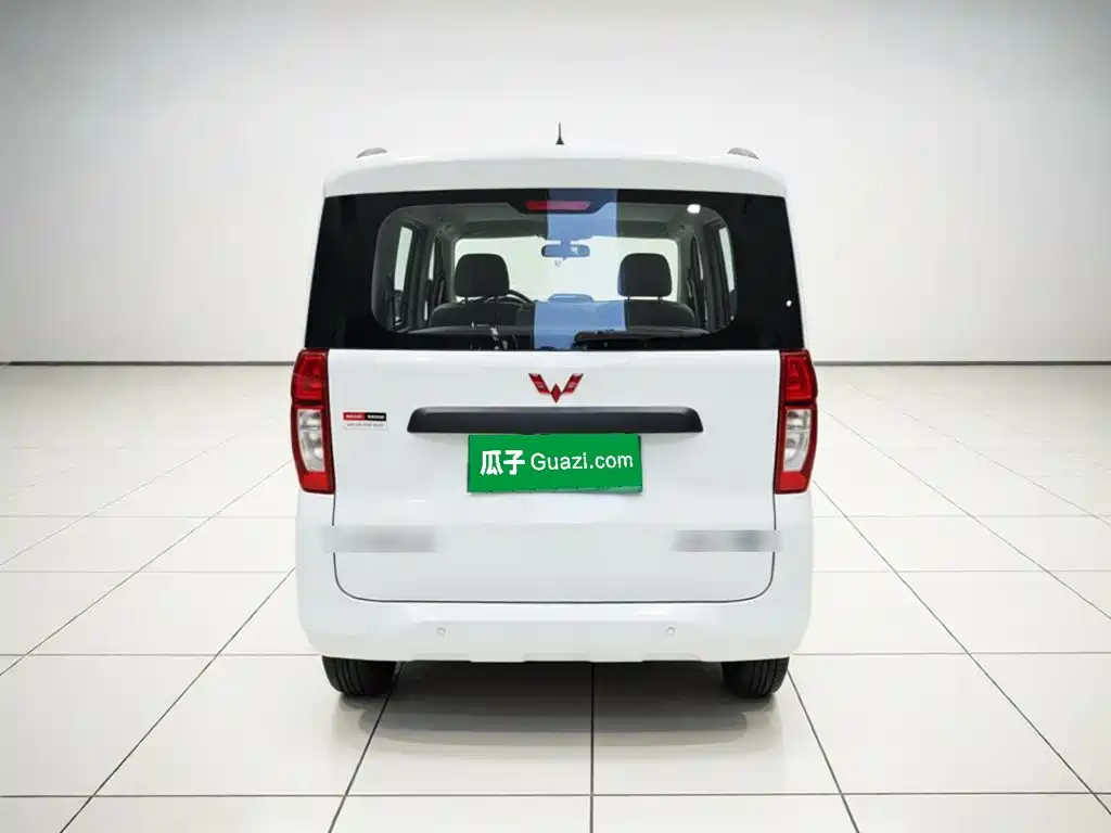 Wuling Motors Wuling Zhiguang NEV 2026 2025 Model 305km Base Version