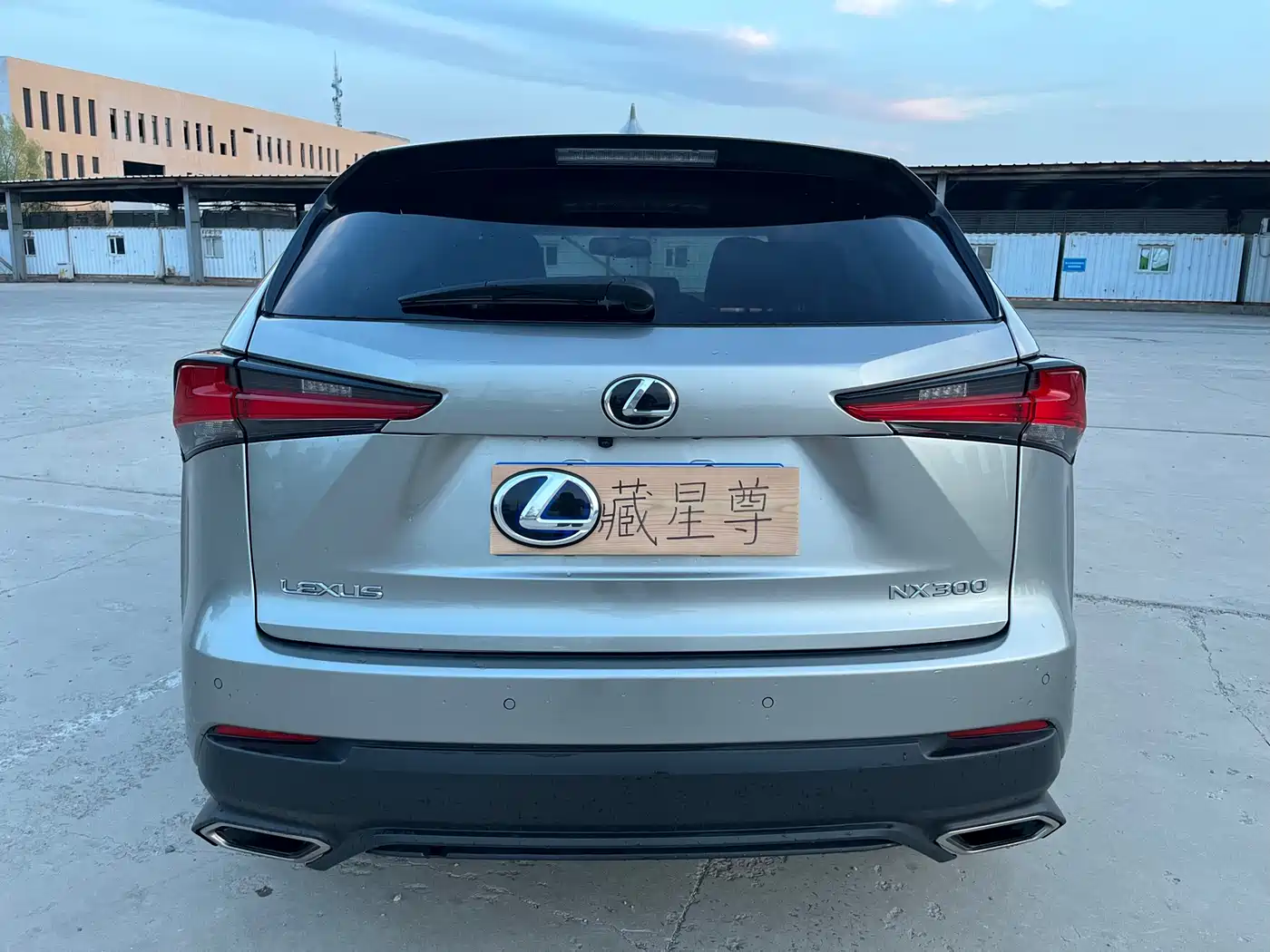 Lexus NX 2018 Model 300 FWD Fengxing Edition фото 18