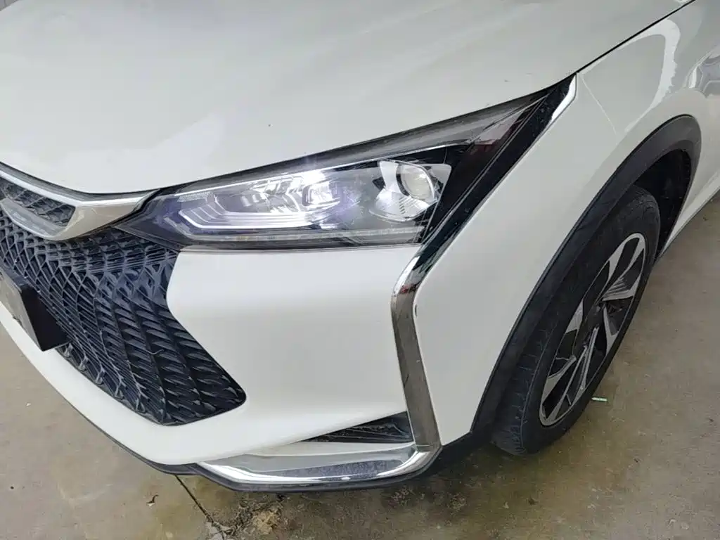 Фото 24 - Dongfeng Aeolus Yixuan GS