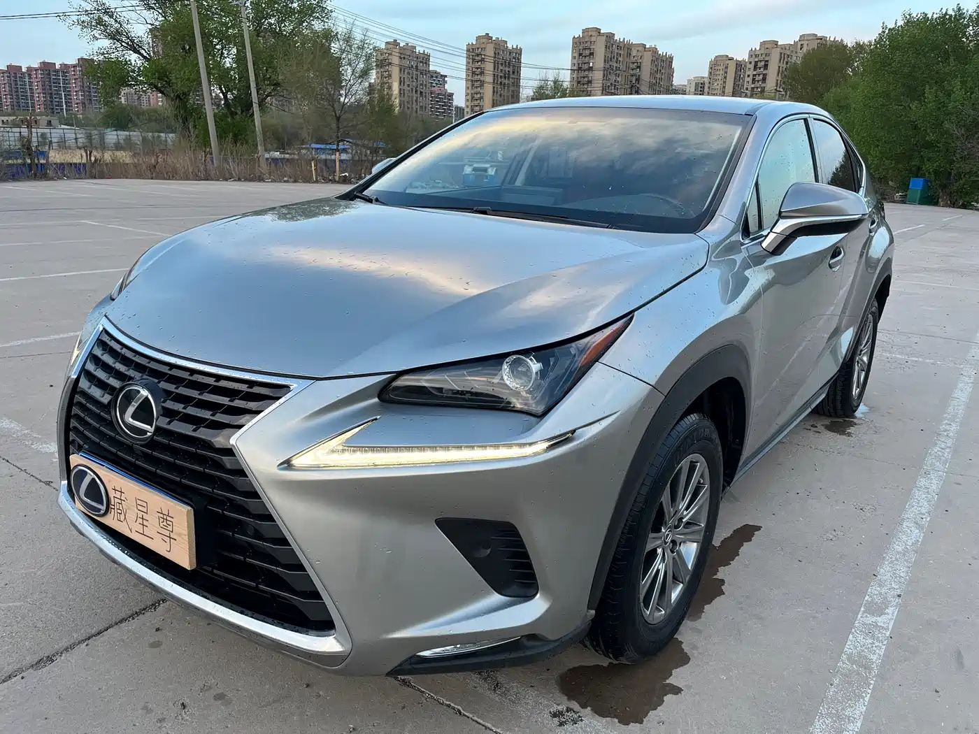 Lexus NX 2018 Model 300 FWD Fengxing Edition фото 2