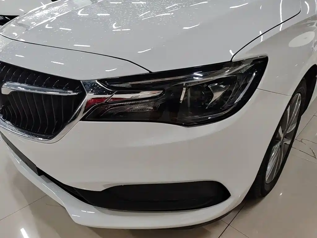 Фото 24 - Buick GL6