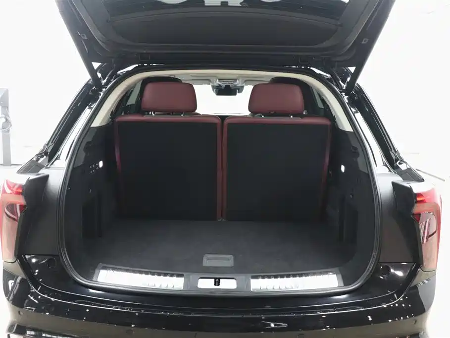 Hongqi E-HS9 2022 660km Qi Chang Edition (6-seater) фото 31