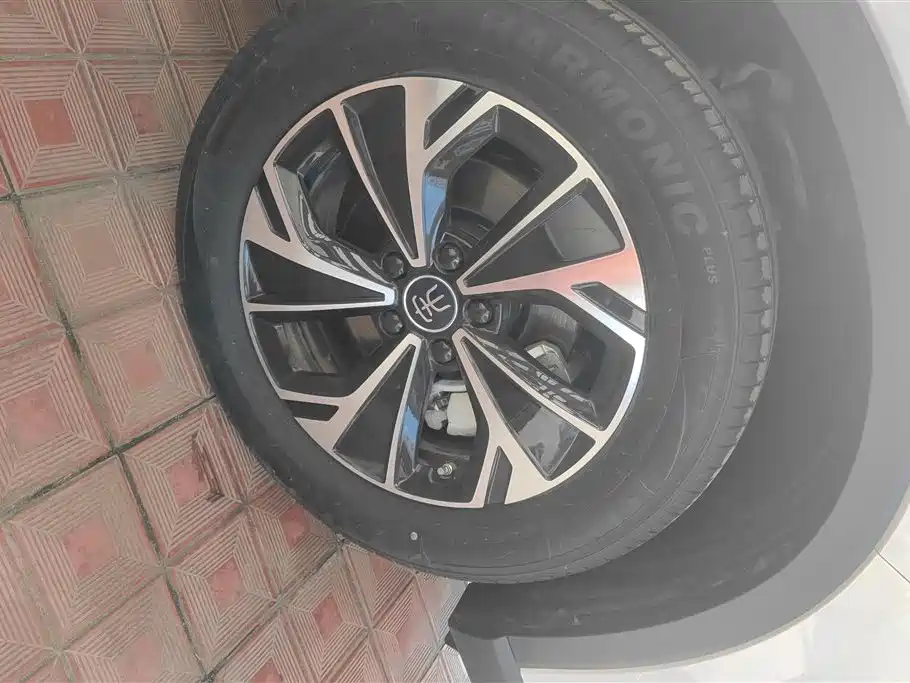 BYD Song Pro New Energy 2025 2nd Gen DM-i 75KM Surpass фото 6