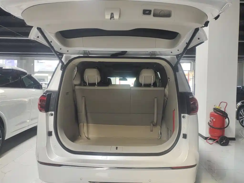 Buick GL8 2023 ES Landmaster Comfort фото 19