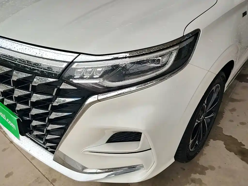 Roewe iMAX8 2024 2023 400TGI Comfort Edition