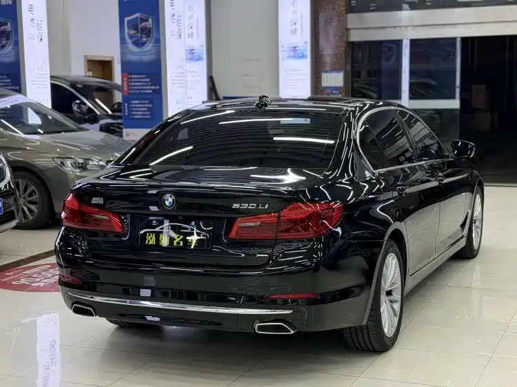 BMW 5 Series 2020 530Li Leading Luxury Package фото 4
