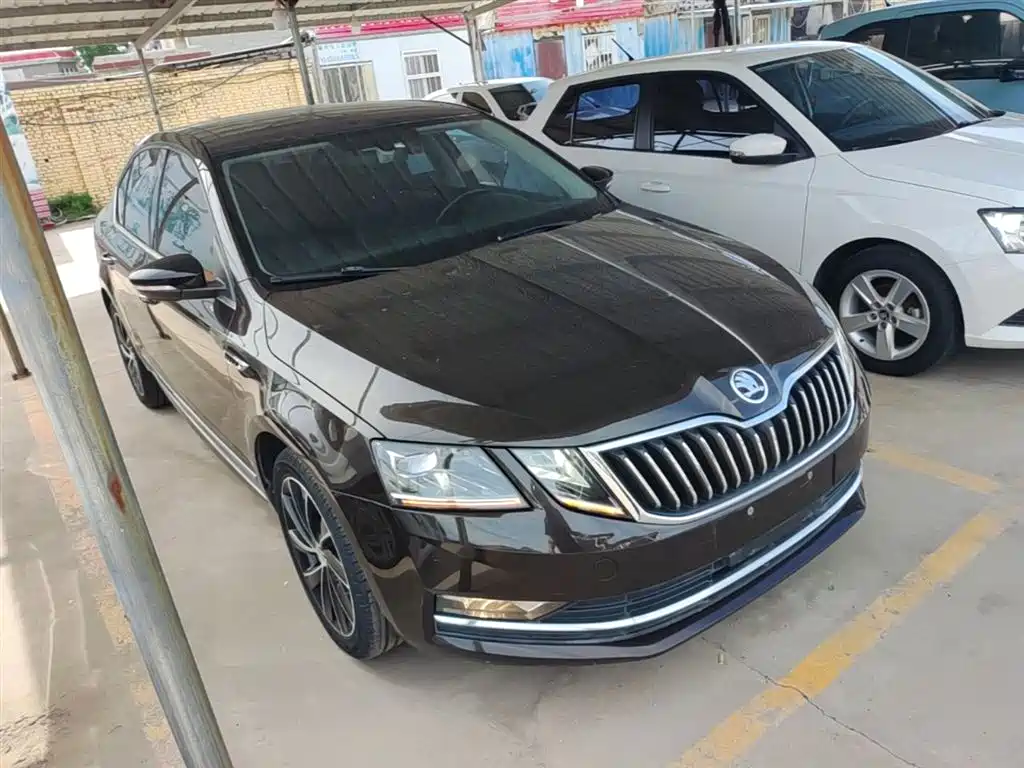 Škoda Octavia 2018 TSI280 DSG Luxury Edition фото 4