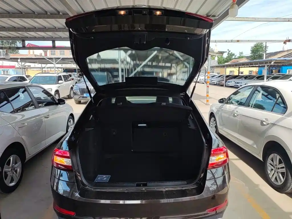 Škoda Octavia 2018 TSI280 DSG Luxury Edition фото 19