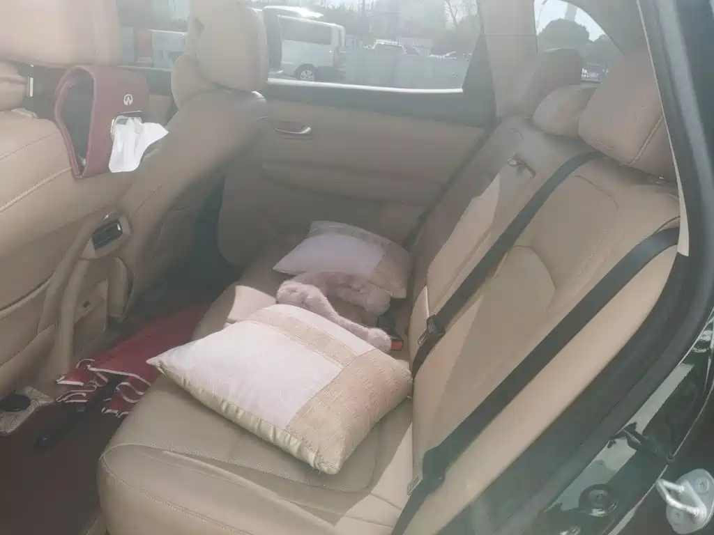 Landian E5 PLUS 2024 2025 165km Long Range Pro (5-Seater)