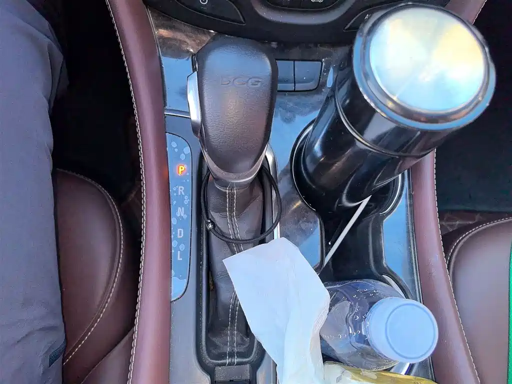 Buick Envision Plus 2015 20T 2WD Elite фото 7