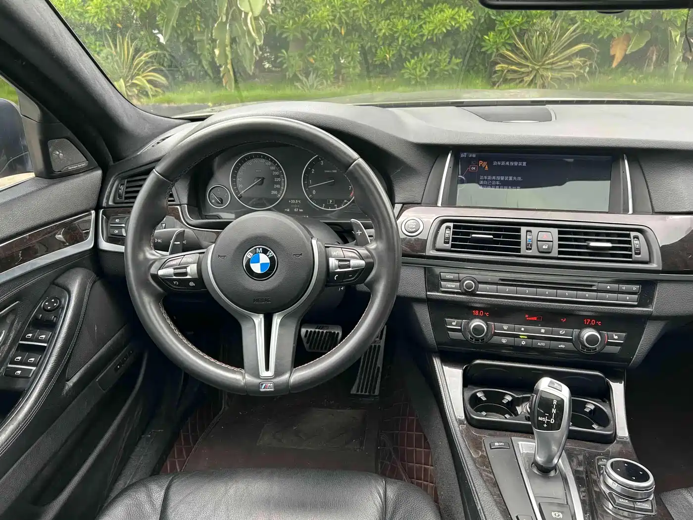 BMW 5 Series 2012 523Li Luxury фото 5